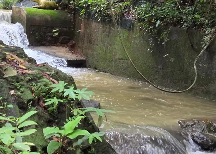 Estudio Da Floresta Rio de Janeiro